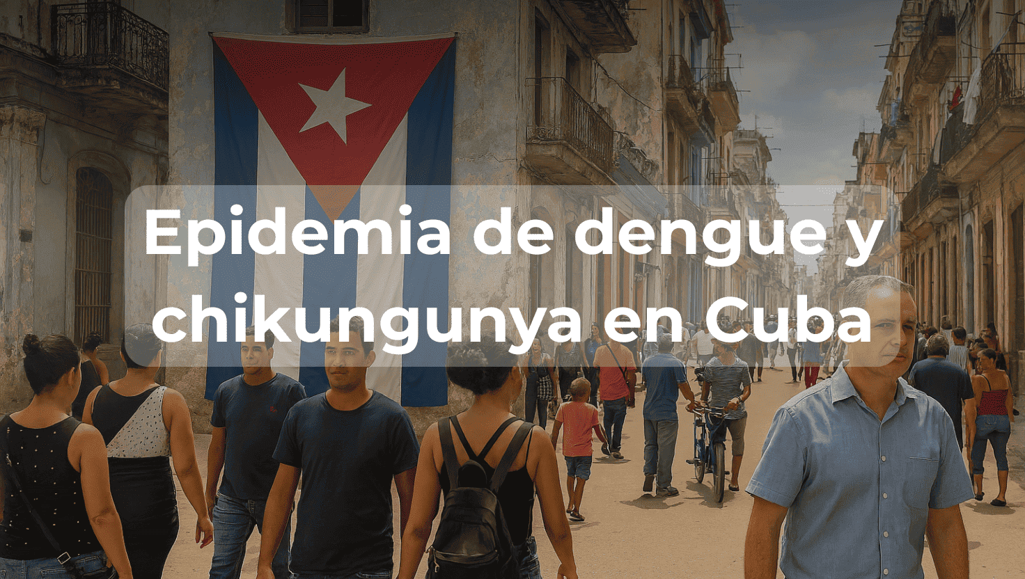 Epidemia de dengue y del mosquito chikungunya